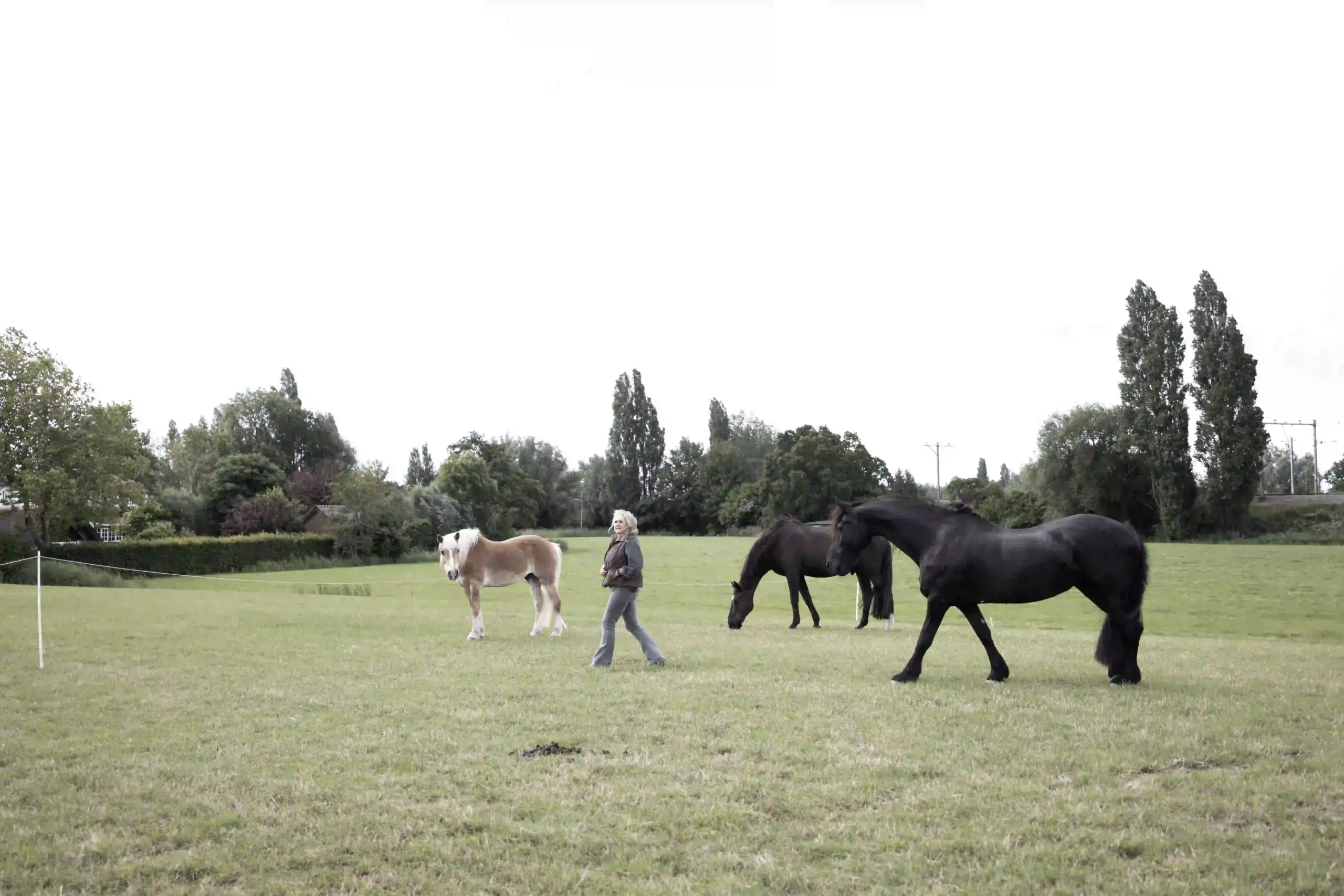 in het veld coaching